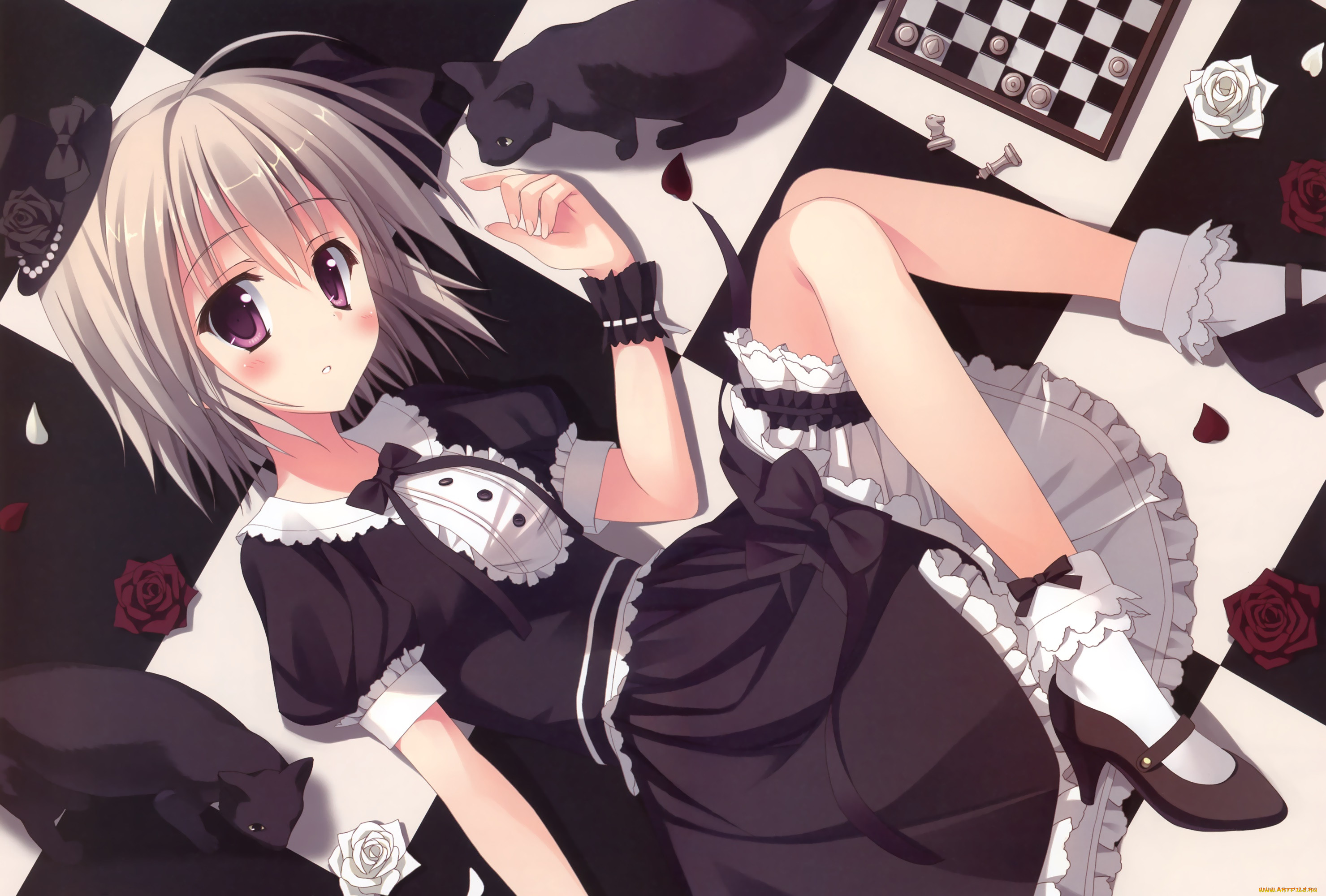 , unknown,  , , , 